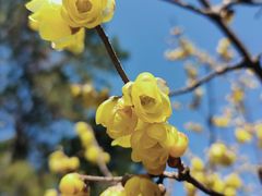 -白塘生态植物园