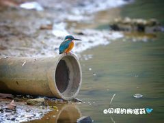 -南国桃园旅游度假区