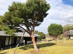 -醍醐寺