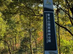 -青龙山国家森林公园