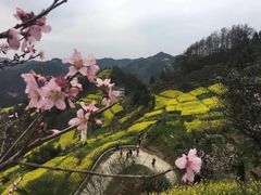 -石潭村