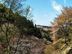 -富士山吉田線五合目