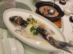 -千灯盛汇·头牌粤菜(致越优城店)