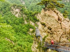 -尧山风景区
