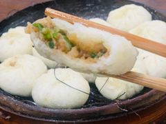 -舒小笼松针小笼包