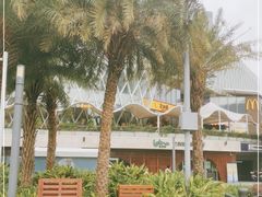-润园四季椰子鸡火锅(海上世界店)