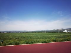 -敕勒川草原