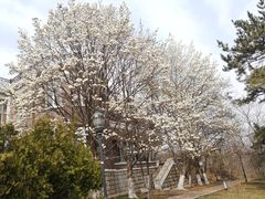 -棒棰岛宾馆景区