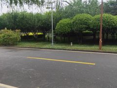 -洨河生态公园