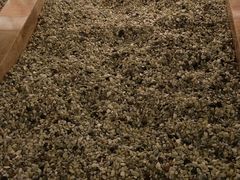 -清水湾温泉生活馆(南直路店)