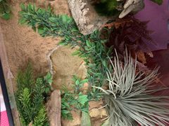 -钓仓鼠(洋桥北里小区店)