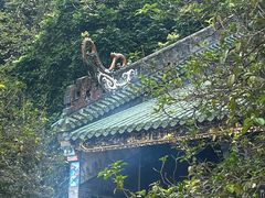 -鼎湖山风景区
