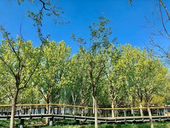 -东郊湿地公园