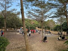 -聚龙山公园