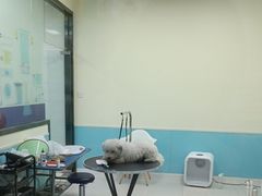 -天宠宠物医院24小时·急重症诊疗中心·全科·腔镜特色(和平分院)