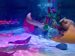 -沈阳海洋探索中心