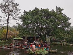 -桂湖森林公园
