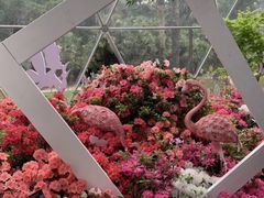 -深圳仙湖植物园-停车场
