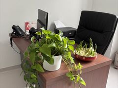 -双季花艺园艺市场(浦东店)