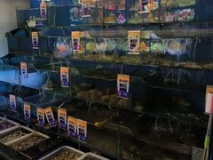 -小船渔村•大连菜•大连焖鱼(明泽街店)