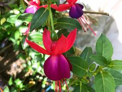 -西安化觉巷清真大寺