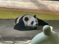 -杭州野生动物世界