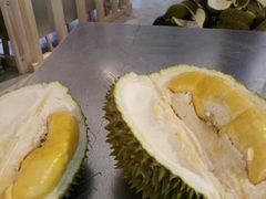 -都念榴莲·城市榴莲