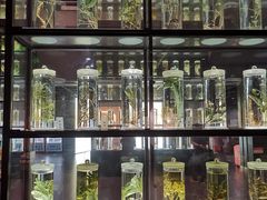 -广东中医药博物馆
