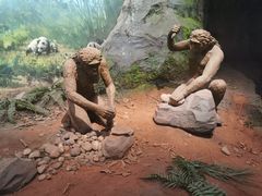 -重庆自然博物馆(新馆)