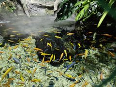 -太平洋海底世界