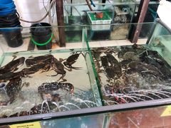 -兴旺海鲜砂煲王