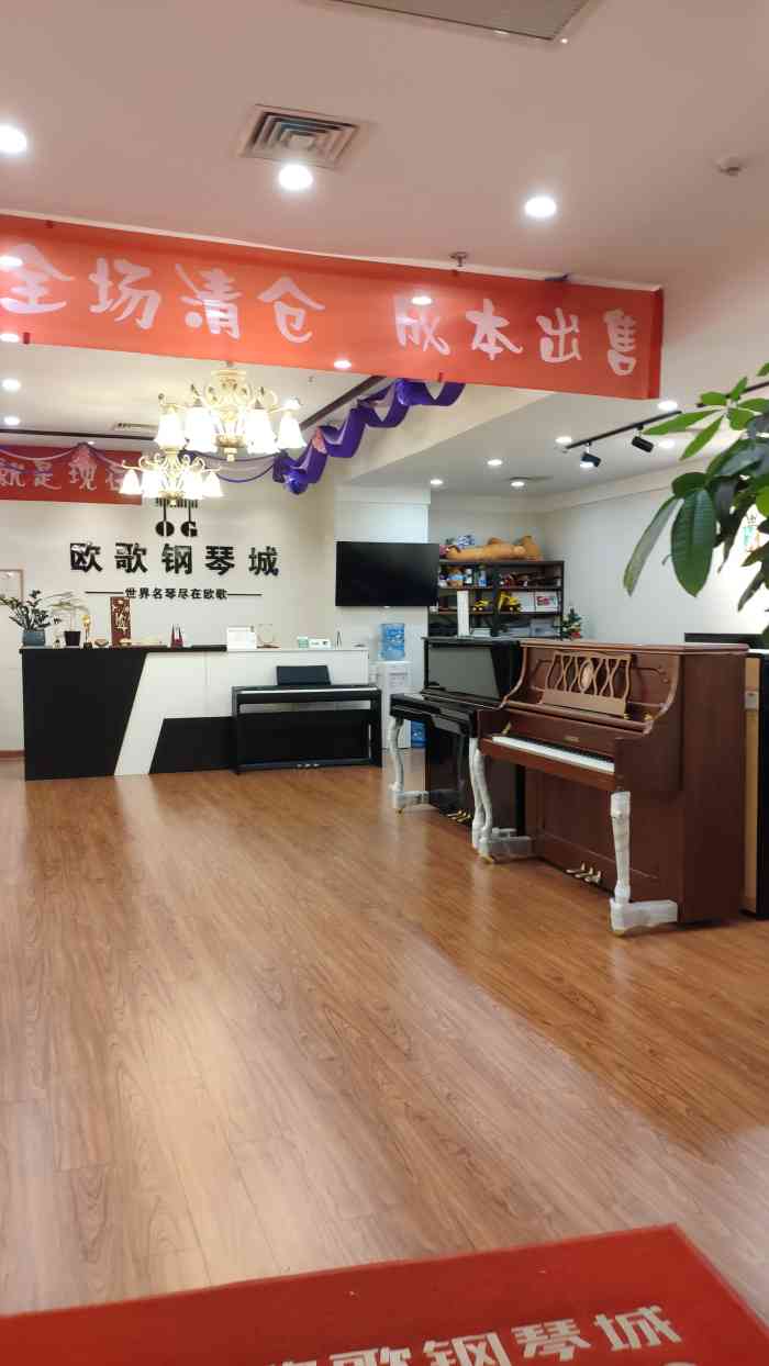 北京欧歌琴行图片