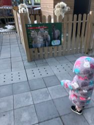 点击看大图 -萌宠亲子动物乐园(槐房万达店)