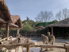-上海野生动物园