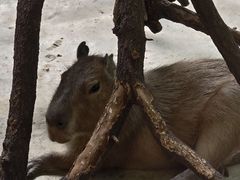 -济南野生动物世界