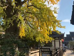 -常熟方塔园