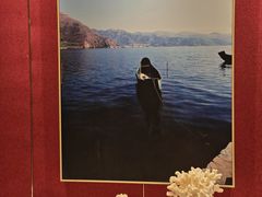 -映像威海·海鲜味道(经区店)