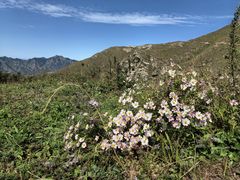 -灵山