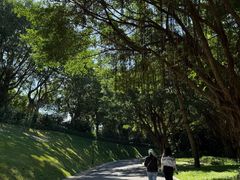 -深圳国际园林花卉博览园