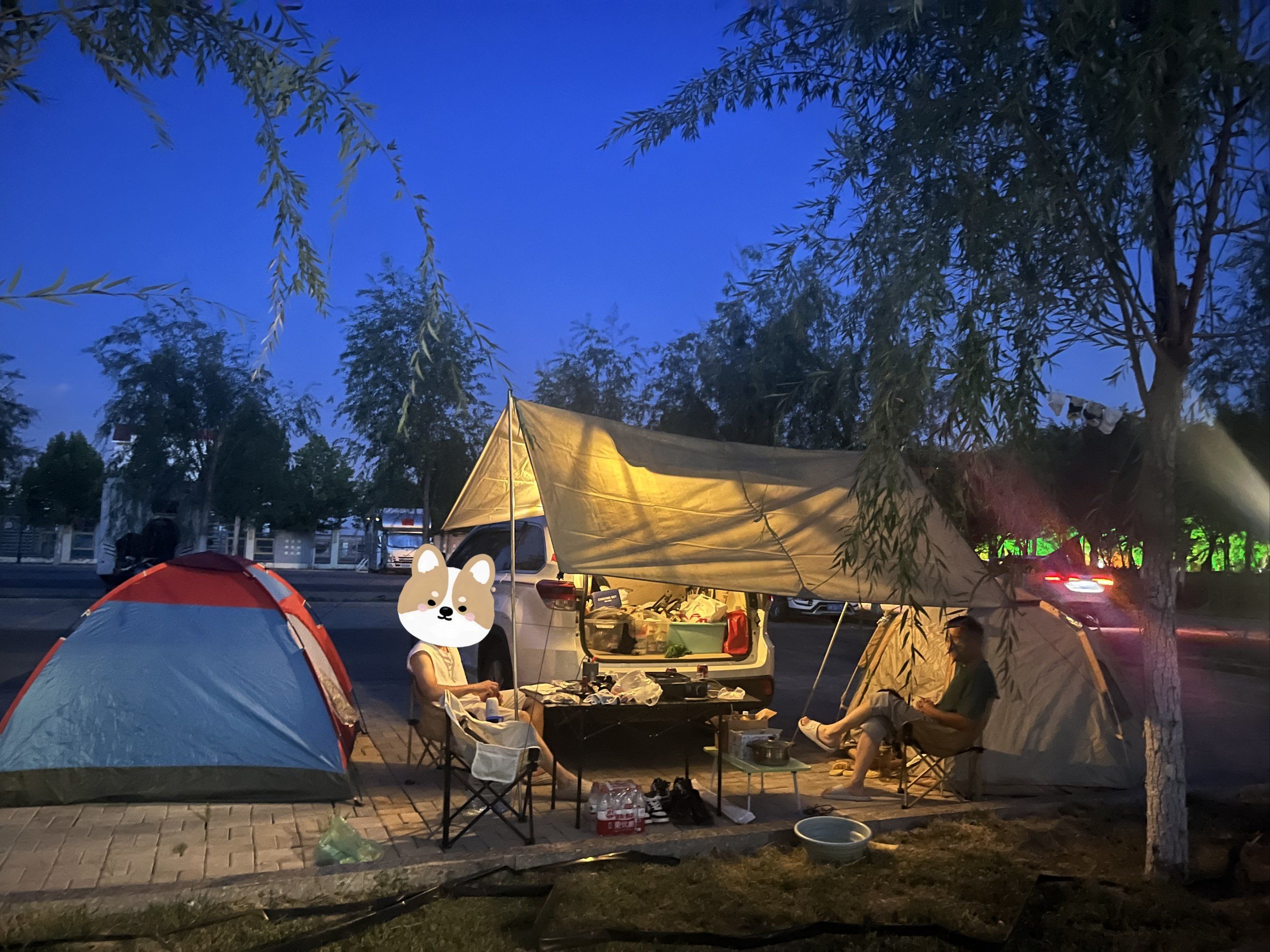 放飞心情去露营