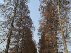 -东湖磨山景区