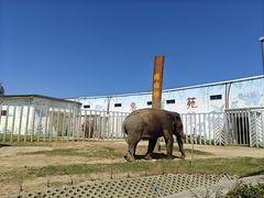 -临沂动植物园