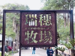 -瑞穗牧场