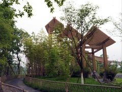 -桤木河湿地公园