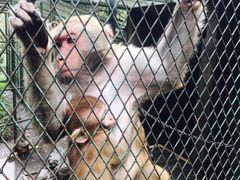 -藏龙百瀑风景区