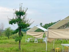 -梁子湖东篱老屋生态庄园