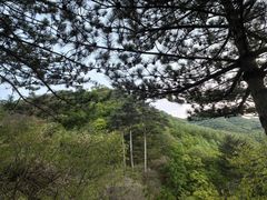 -玉渡山自然风景区