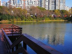 -新江湾城公园