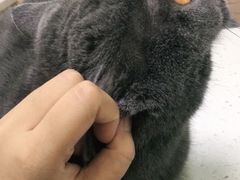 -瑞鹏宠物医院