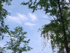 -沐仙湖湿地公园